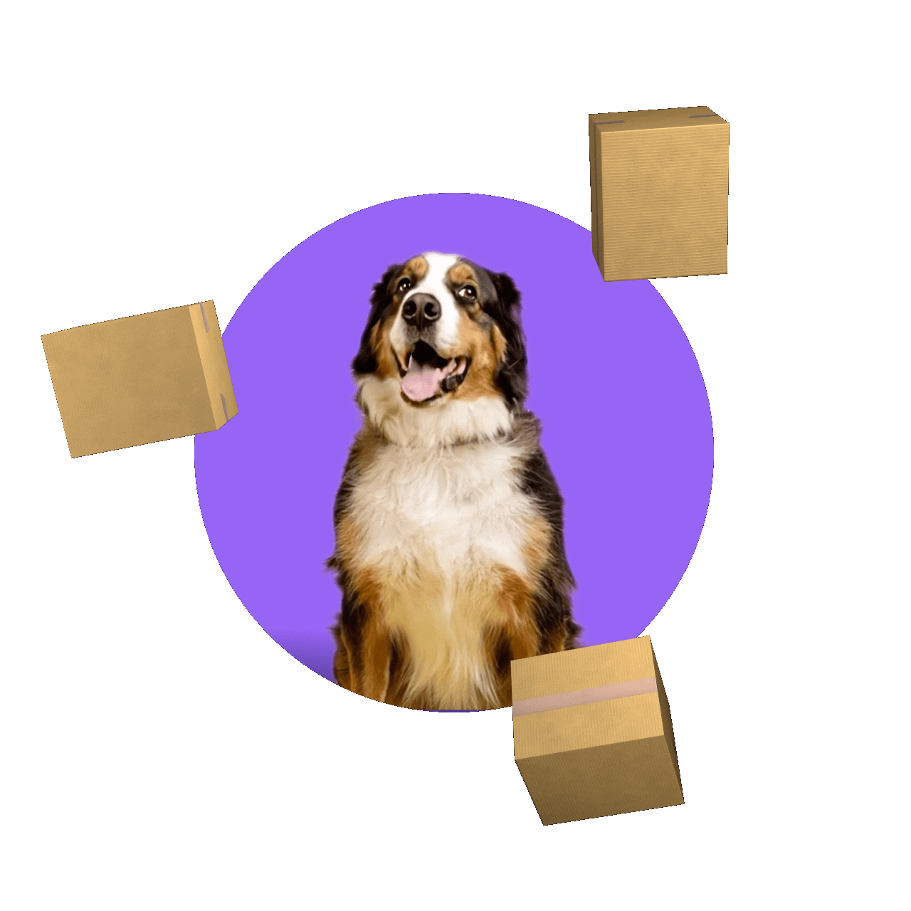 Animated dog excited about subscription savings - Bold Subscriptions mascot